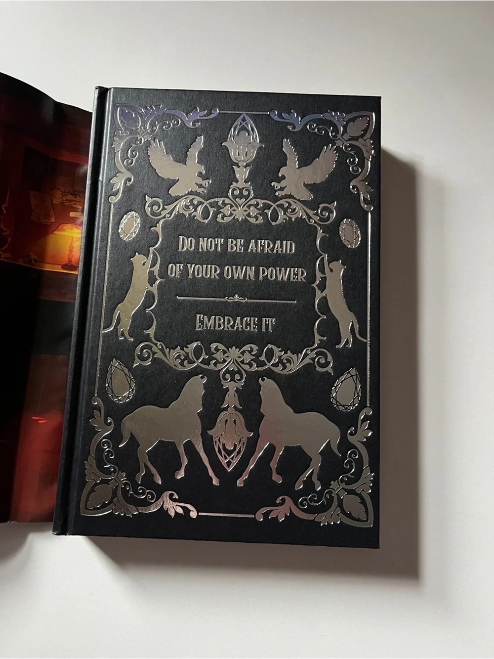 OwlCrate This Dark Descent by Kalyn Josephson Hardcover